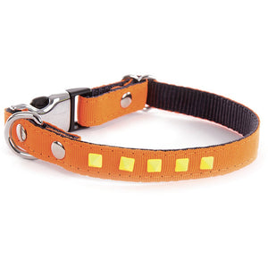 Collier pour chiens et chats Alter Ego by Martin Sellier avec pyramides fluo - L'UNIVERS DES CHIENSCollier pour chiensCollier pour chiens et chats Alter Ego by Martin Sellier avec pyramides fluoALTER EGONylon FluoOrange Fluo & JauneL. 17 cm à 27 cm x l. 1 cm