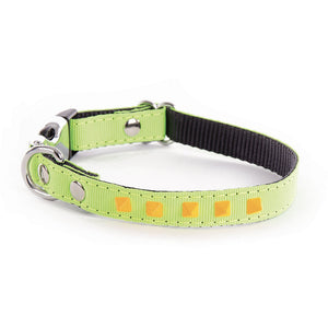 Collier pour chiens et chats Alter Ego by Martin Sellier avec pyramides fluo - L'UNIVERS DES CHIENSCollier pour chiensCollier pour chiens et chats Alter Ego by Martin Sellier avec pyramides fluoALTER EGONylon FluoVert Fluo & OrangeL. 17 cm à 27 cm x l. 1 cm